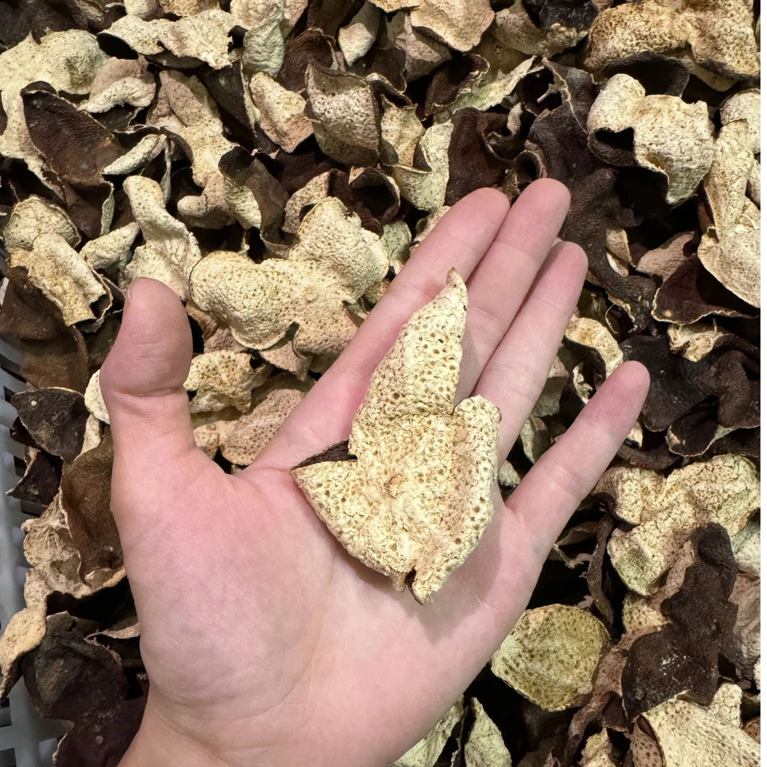 （自家果园）2022梅江圈枝大红皮-小果皮