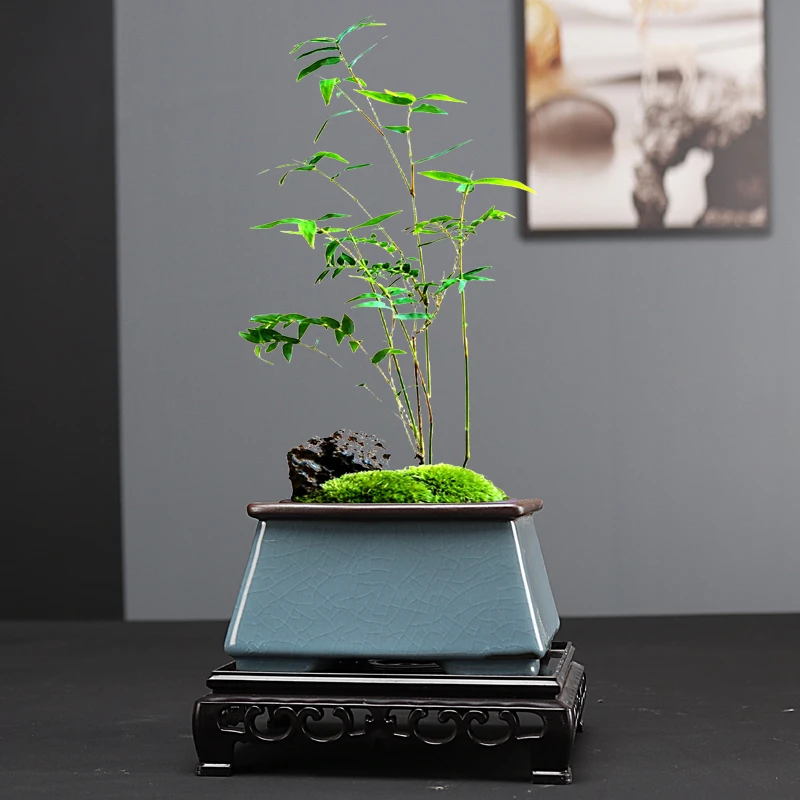 紫砂花盆方形兰花菖蒲花卉绿植盆栽多肉盆景小陶瓷专用清仓带底座