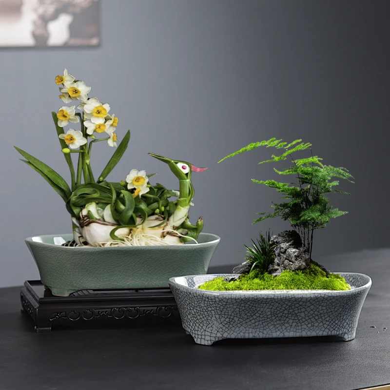 创意哥窑冰裂纹水培陶瓷花盆水仙金钱草绿植盆栽造景盆悬崖老桩盆