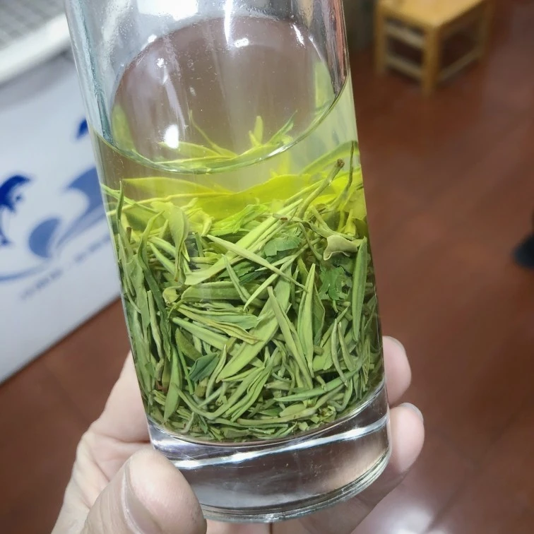 【润沏禧·尖3】2025新茶高山毛尖A3青绿茶栗香耐泡