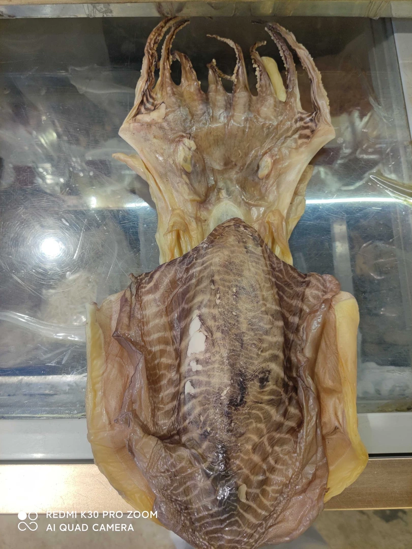 全淡足干本地墨鱼500克（一斤半左右一条）