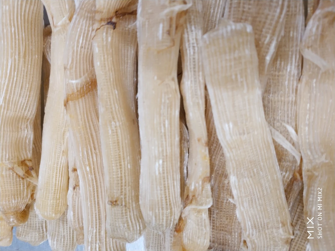 北海纯天然沙虫干250克一500克