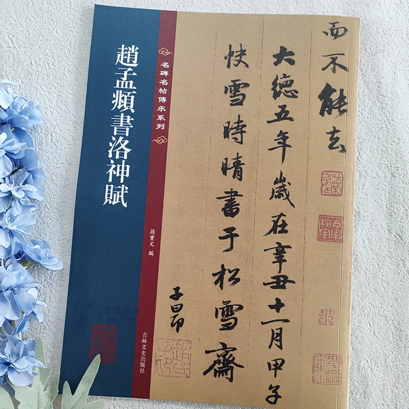 赵孟頫书洛神赋名碑名帖传承系列孙宝文编书法楷书原色放大字帖毛