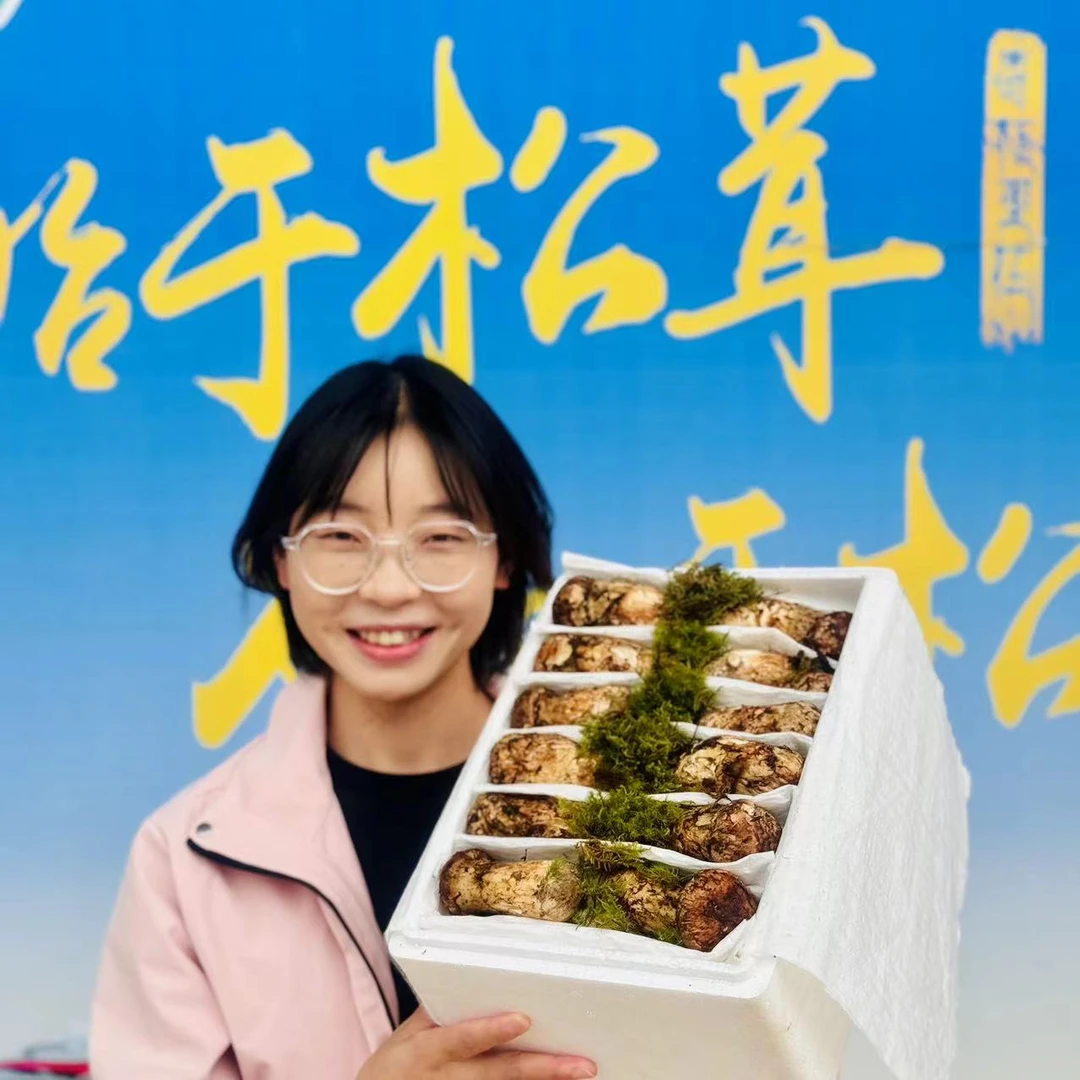 【7-9厘米】云南香格里拉新鲜松茸精品松茸顺丰空运包邮产地品质清
