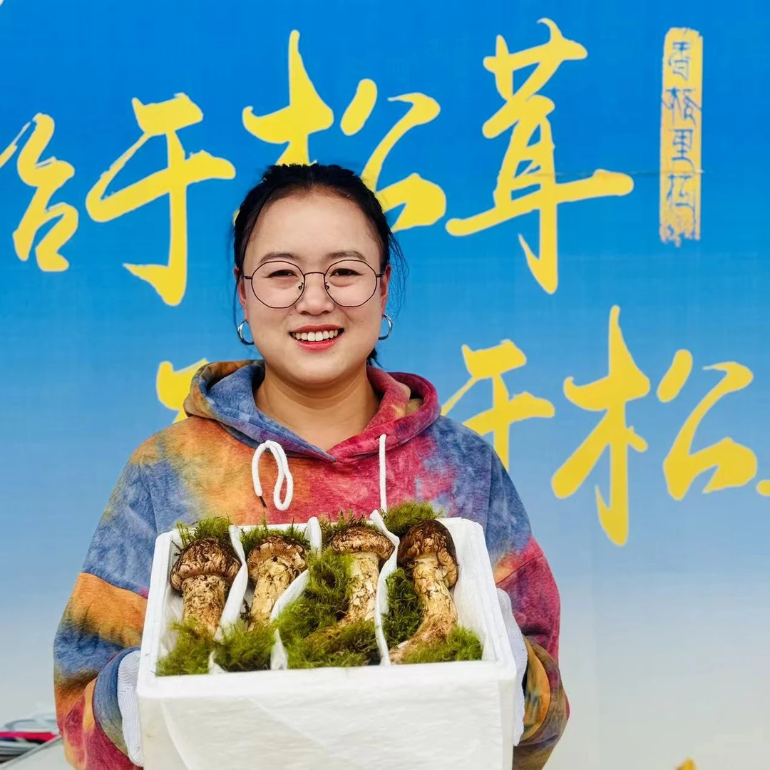 【高规格2L松茸】云南香格里拉新鲜松茸 顺丰空运包邮
