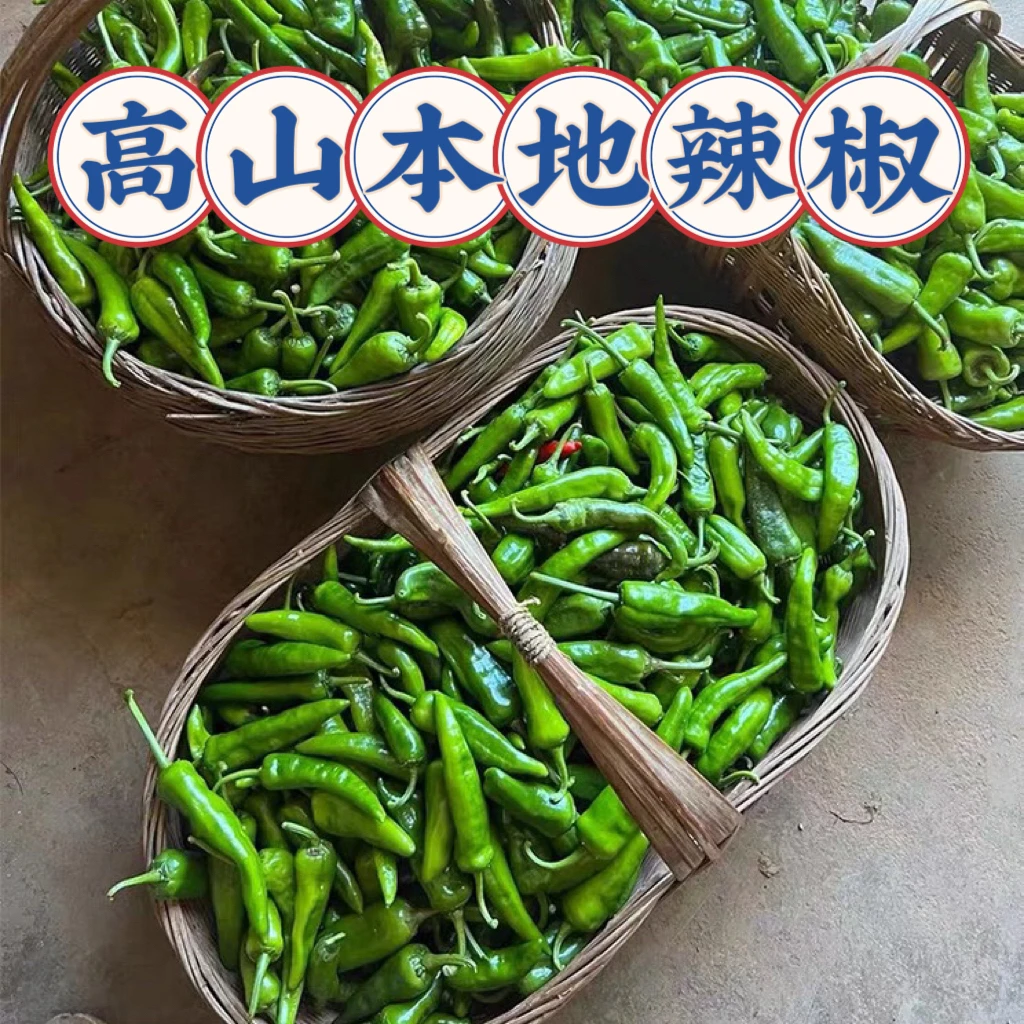 【恩施本地自留种青辣椒】高山土辣椒富硒当季蔬菜恩施农家菜