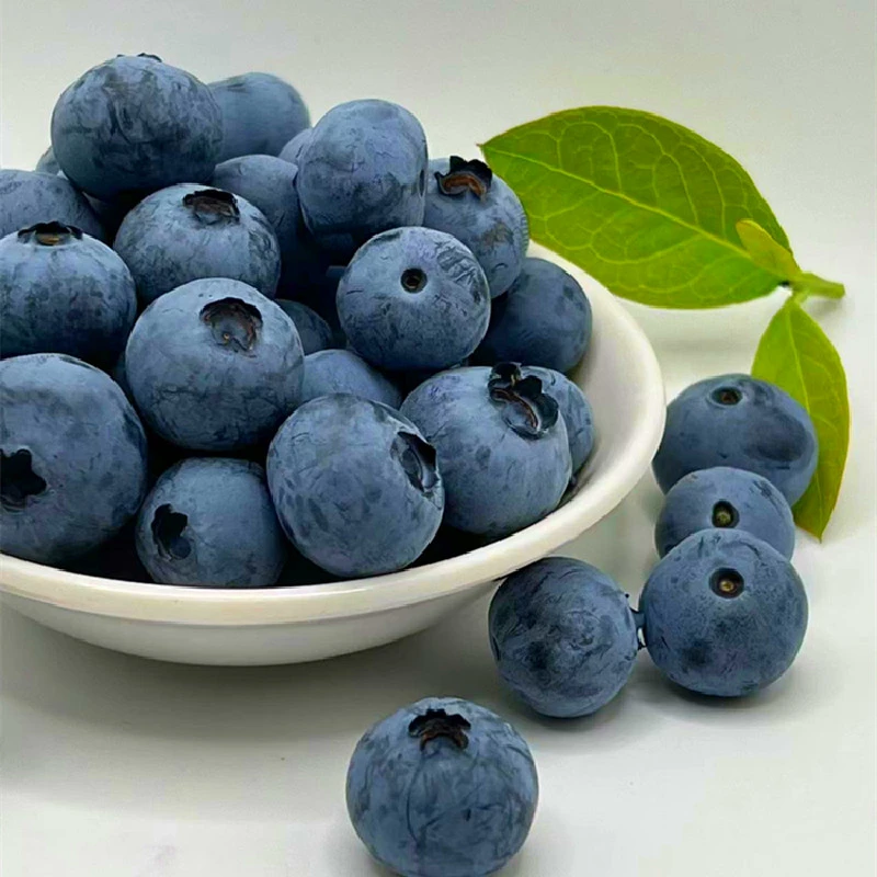 顺丰空运云南抚仙湖花香蓝莓鲜果 脆甜花香浓郁孕妇宝妈新鲜水果