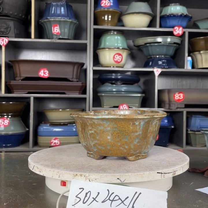 红陶20CM(含)-50CM(不含)田*青
