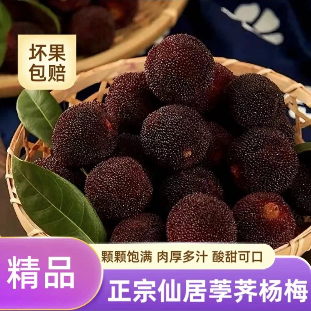 【仙居荸荠杨梅现摘现发】顺丰京东空运【坏果包赔】