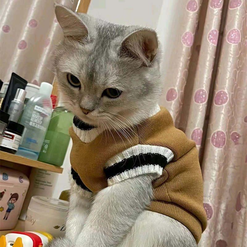 秋冬新款宠物加绒潮牌泰迪雪纳瑞衣服狗狗学院风毛衣猫咪猫猫衣服