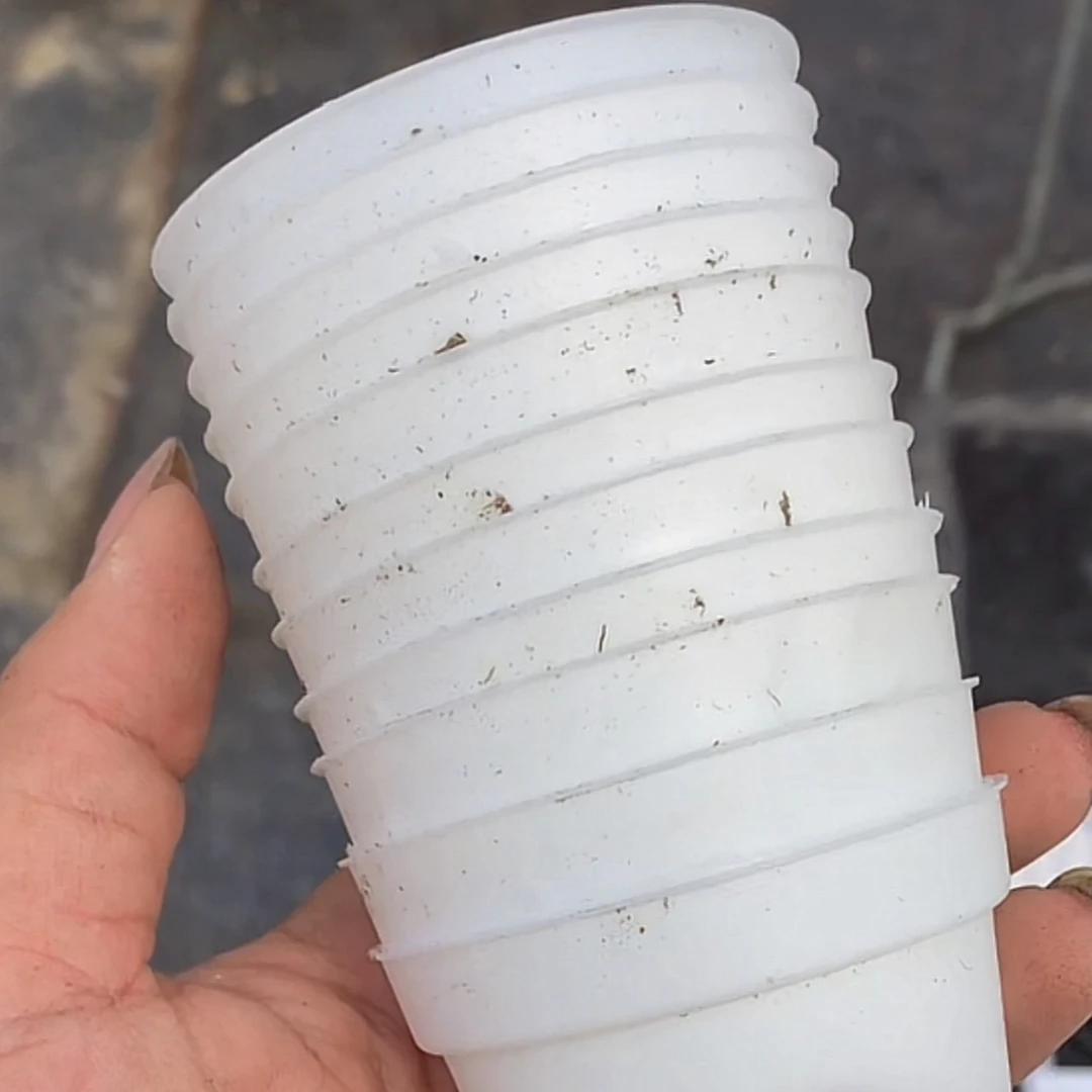 【满8.88包邮到货退运费】白盆 5厘米多肉塑料盆