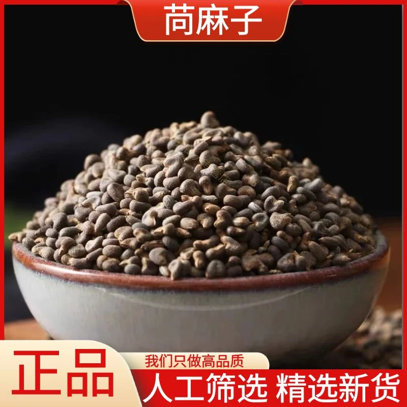 苘麻子青麻子白麻子苘实茼麻子顷麻子磨盘草子干货散装另售辣木籽