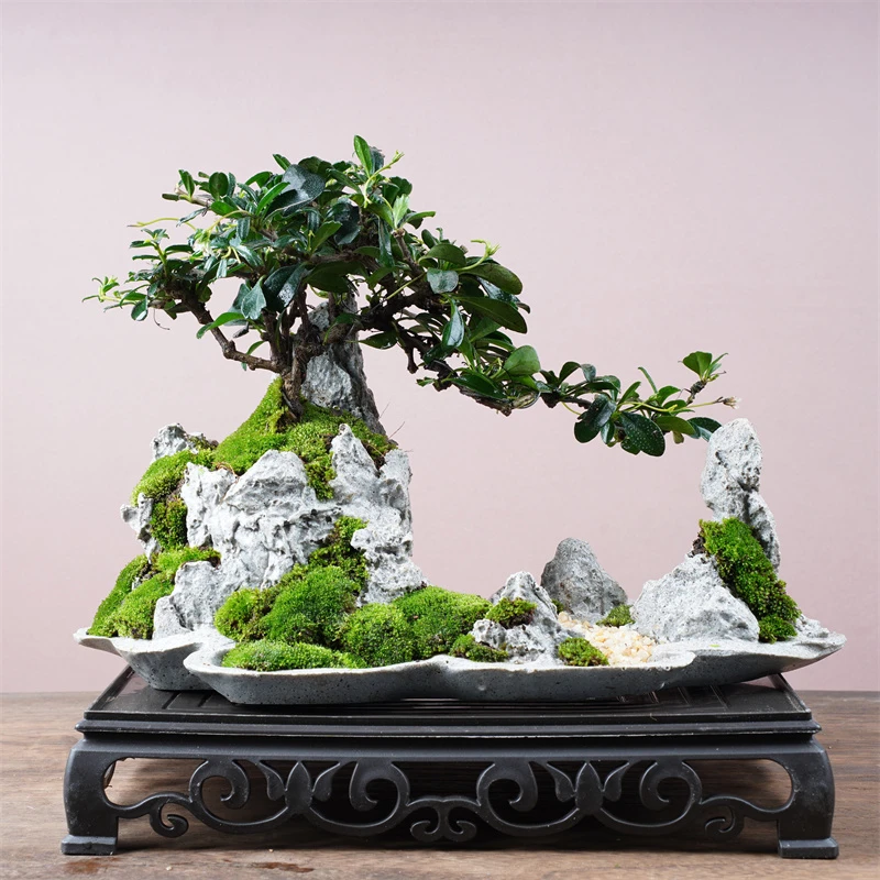 028#  青砂石桂林山水福建茶山水盆景