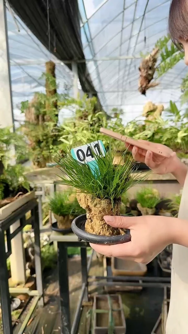 【闪购商品】41