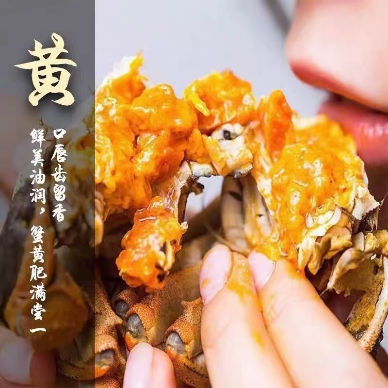 超值5只装大闸蟹鲜活纯母蟹 单只1.7-1.4两 不捆绳顺丰包邮死包赔