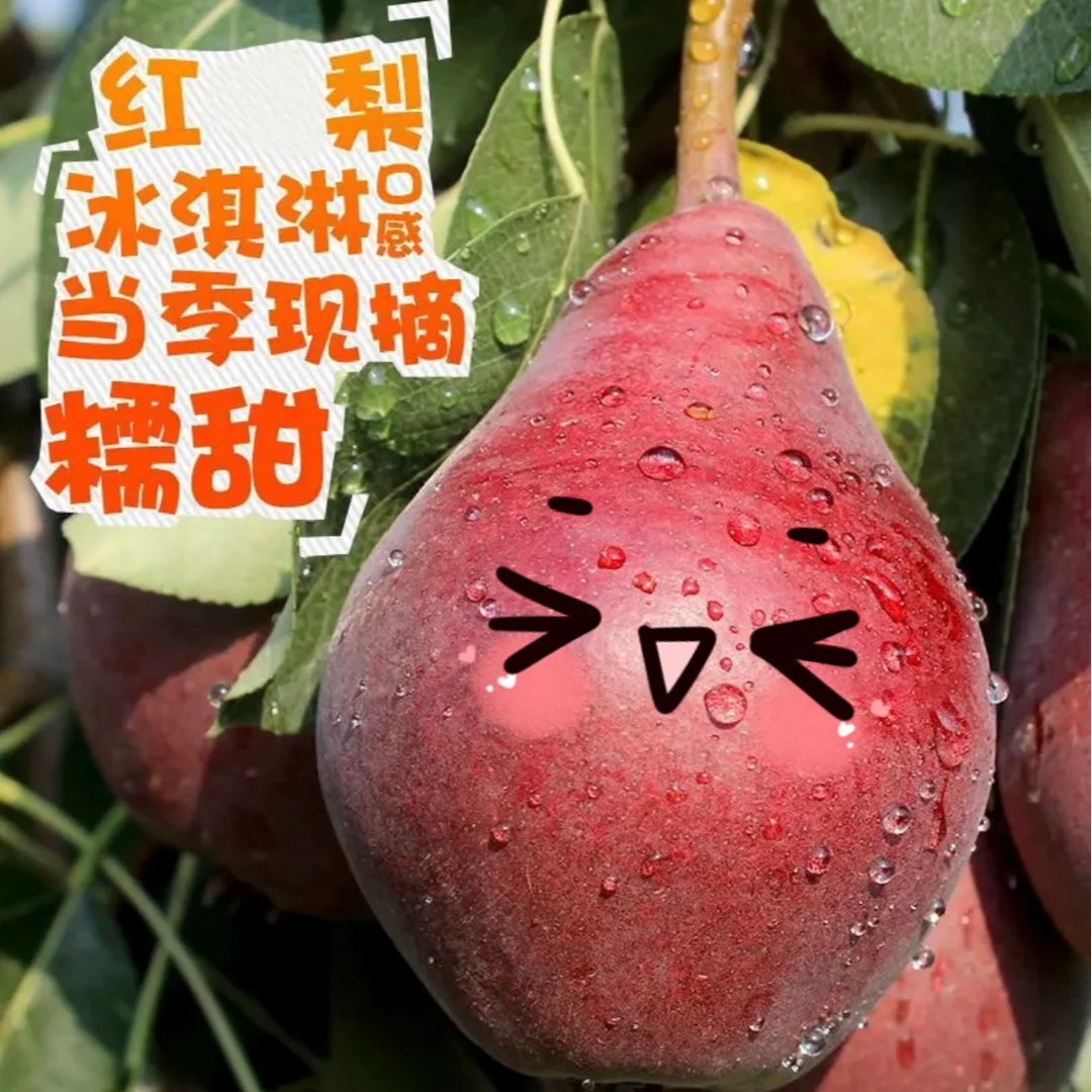 考密斯红梨当天现摘鲜果