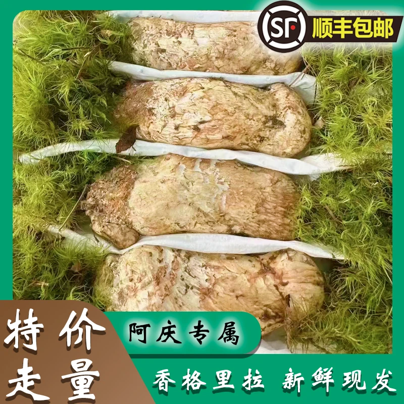 【礼遇松茸】香格里拉本地野生新鲜松茸顺丰包邮现采锁鲜发货