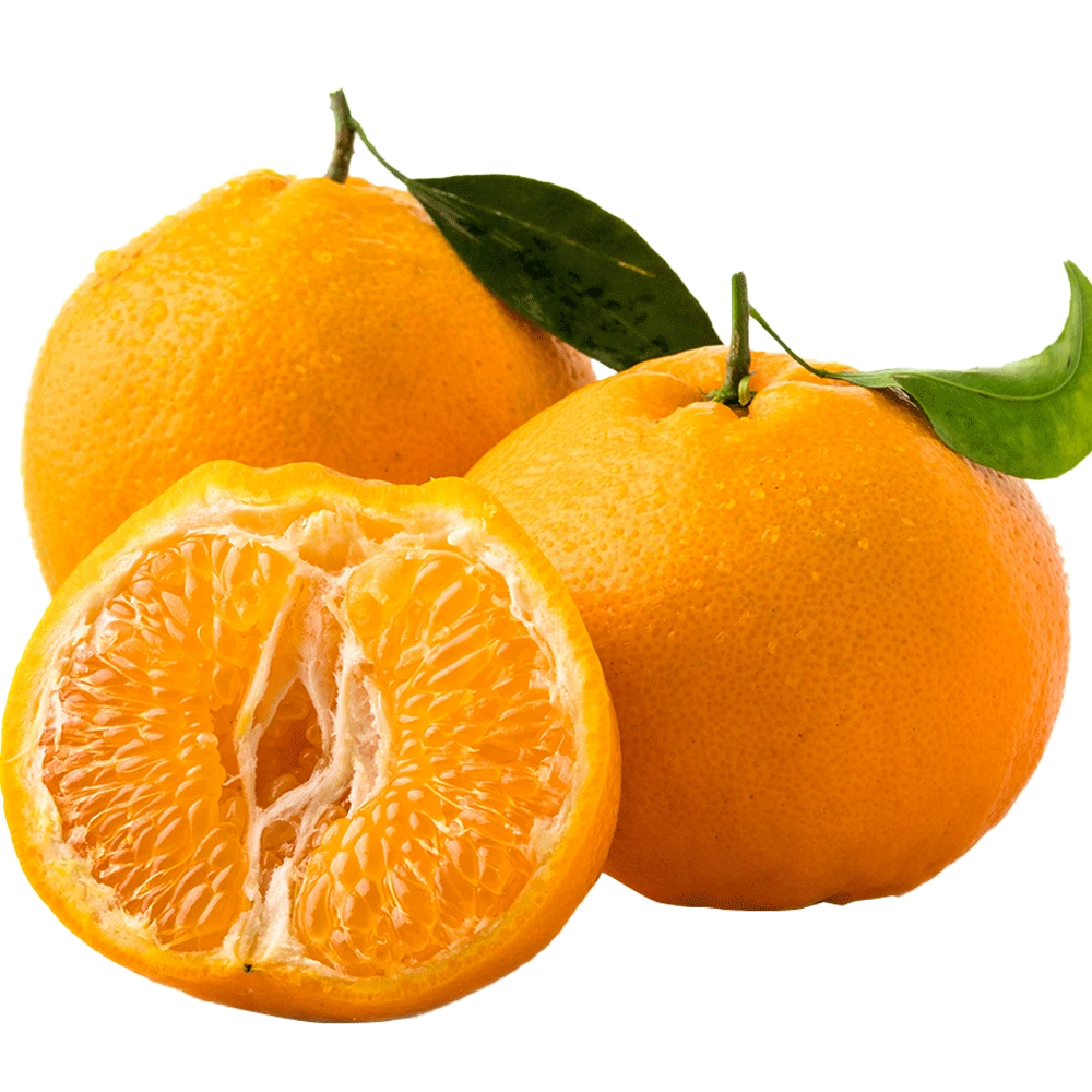 春见耙耙柑颗粒饱满爆汁超甜一个