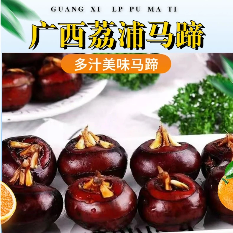 荸荠广西荔浦马蹄新鲜现挖现发带泥发货3斤/5斤脆甜爽口水果马蹄