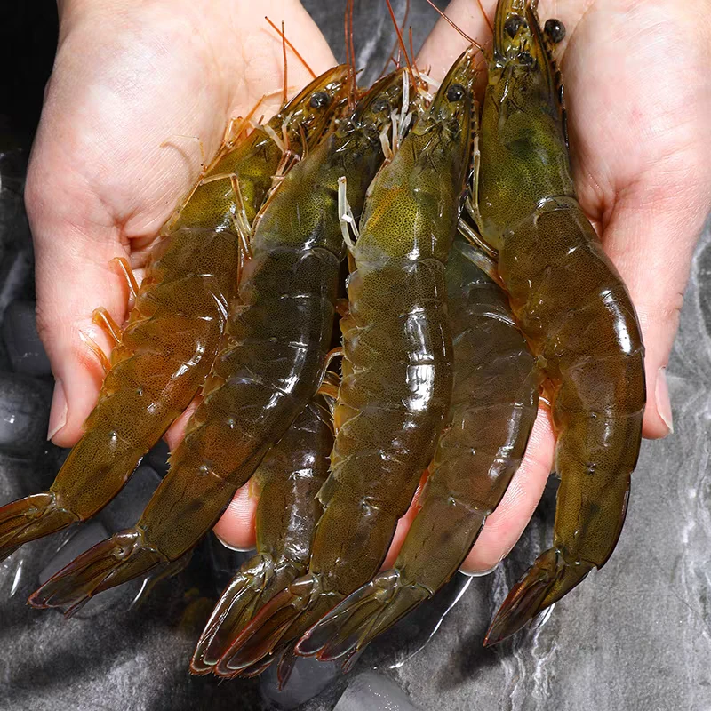 新鲜大虾,肉质紧实  泡沫箱发货  保鲜不保活