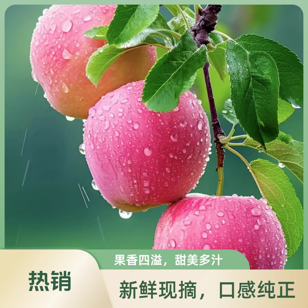 【带箱9斤】山东烟台香甜多汁红富士大苹果