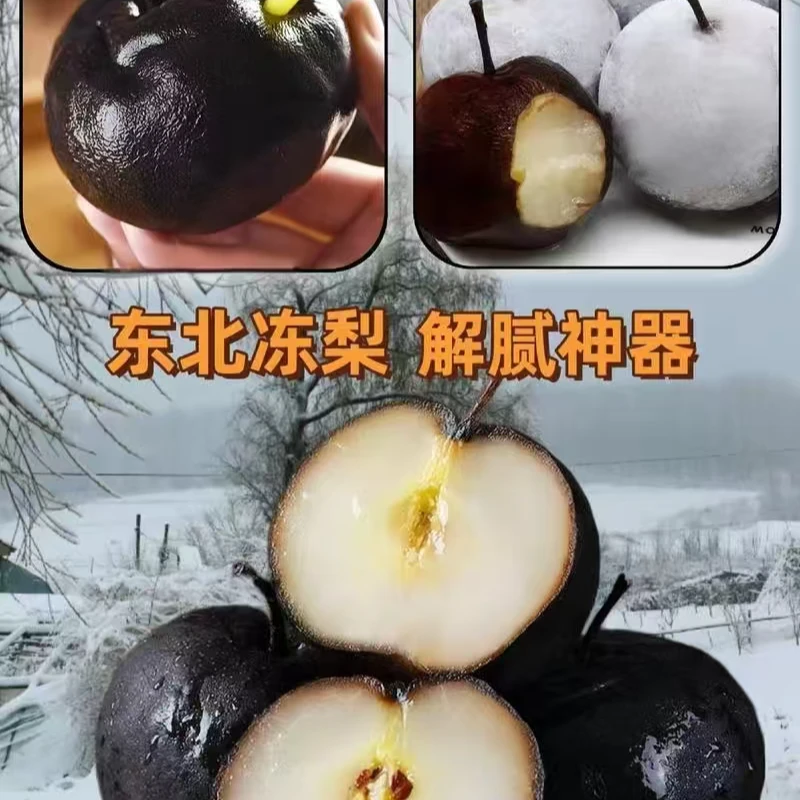 【可以吸着吃的梨】东北冻梨2-5斤苹果梨冻秋梨东北大冻梨黑梨水果