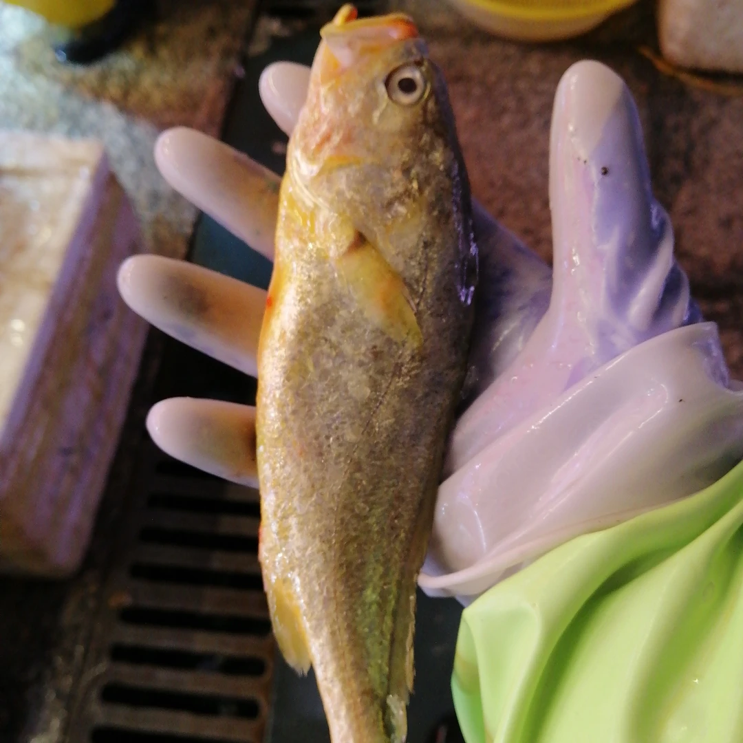 拼装各种海鲜，鲜香美味！