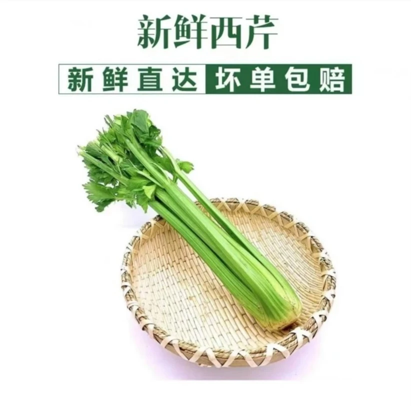 【现砍现发】新鲜西芹现挖现发农家种植土肥料新鲜榨汁凉拌炒菜新鲜