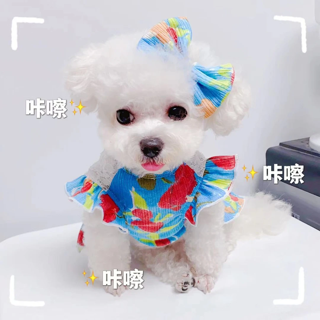 【梦中莫奈】夏季超薄背心裙牵引扣油画风棉质猫狗通用宠物衣服