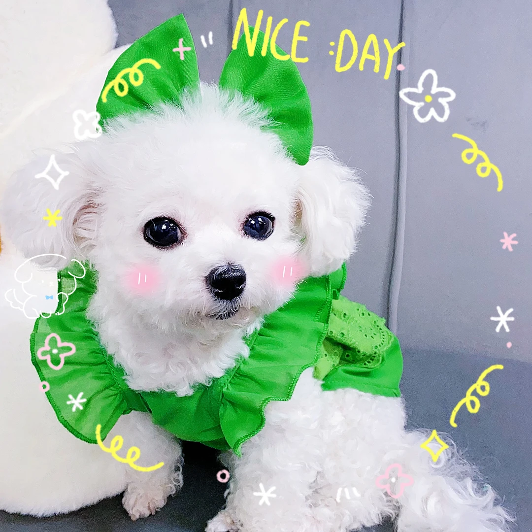 【初夏绿野仙踪】原创可牵引猫狗通用飞飞袖夏日清凉防晒连衣裙