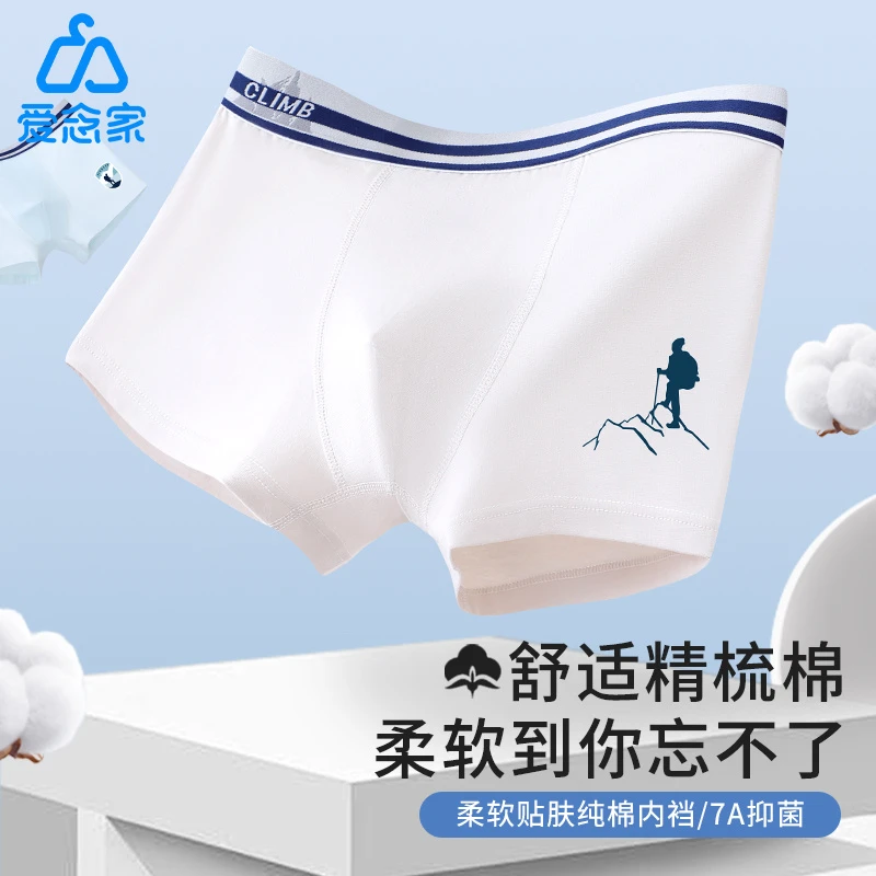 青少年纯棉内裤中大童青春发育期四角秋冬抗菌弹力平角裤柔软舒适