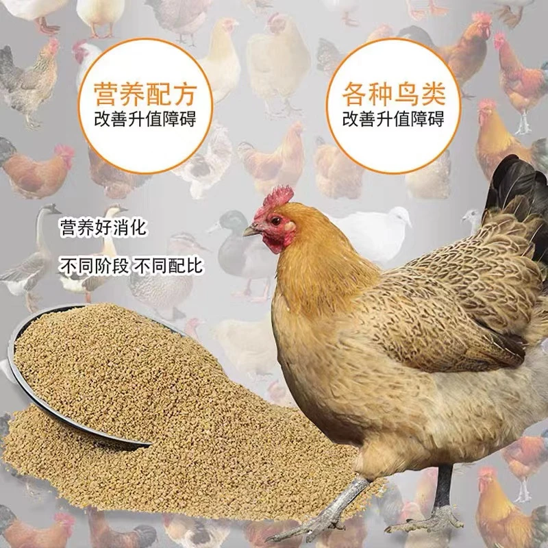 饲料喂养好成活 长势好 营养丰富