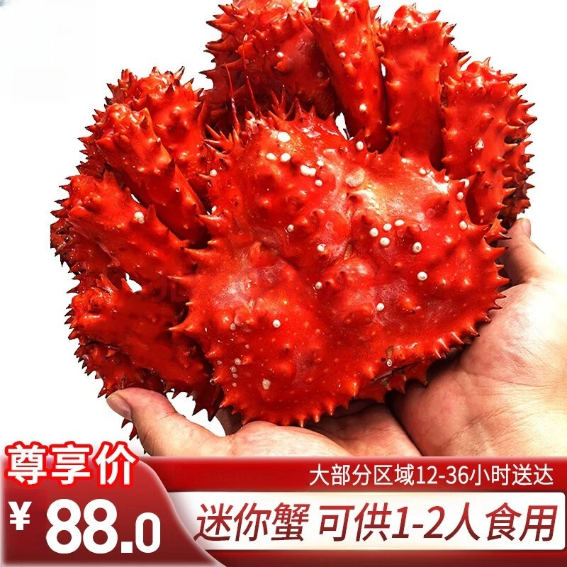 智利熟冻帝王蟹400克-600克一只,进口长脚蟹大螃蟹年货海鲜礼盒
