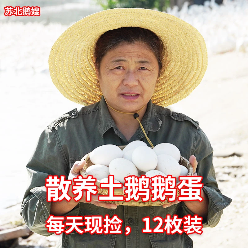 初生鹅蛋宝宝辅食孩子每天一个，每天只有5箱