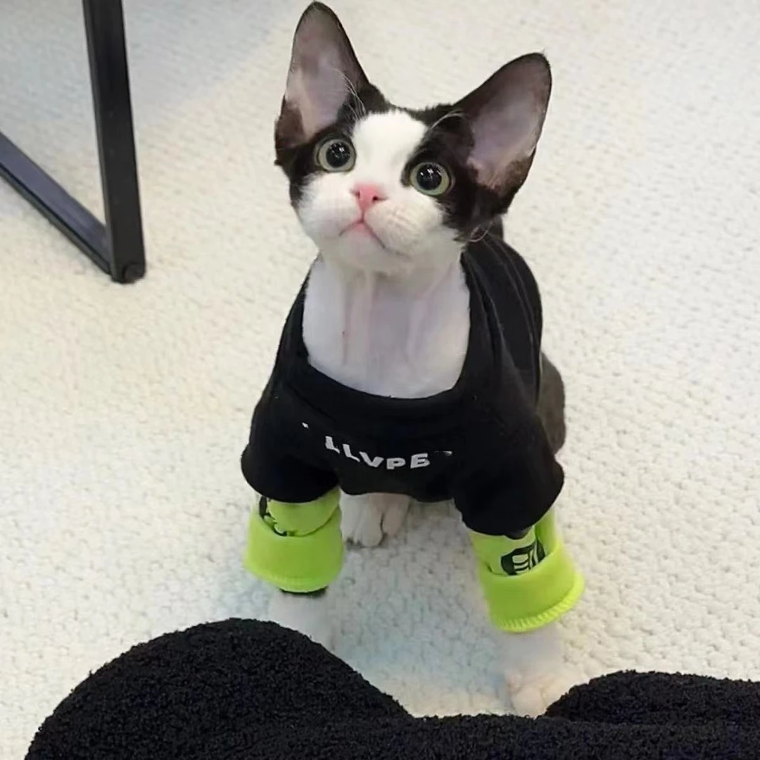 无毛猫衣服德文斯芬克斯猫加绒加厚冬天卫衣保暖潮牌宠物矮脚