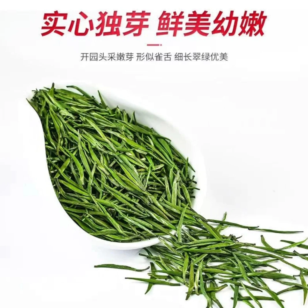 早春绿茶#直立单芽