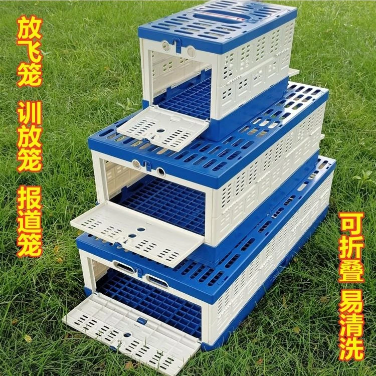 领航训放笼放飞笼鸽子笼防老化塑料材质可折叠