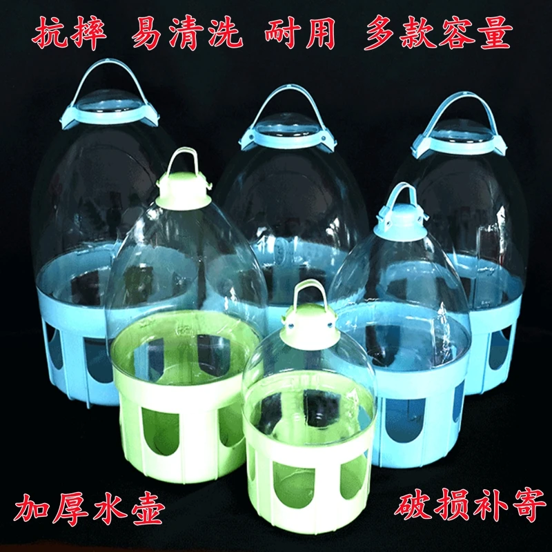 鸽子透明饮水器2到12升 加厚款博翔鸽子自动水壶