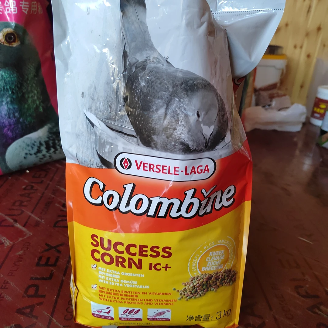 凡赛尔国产胜利丸鸽子食用