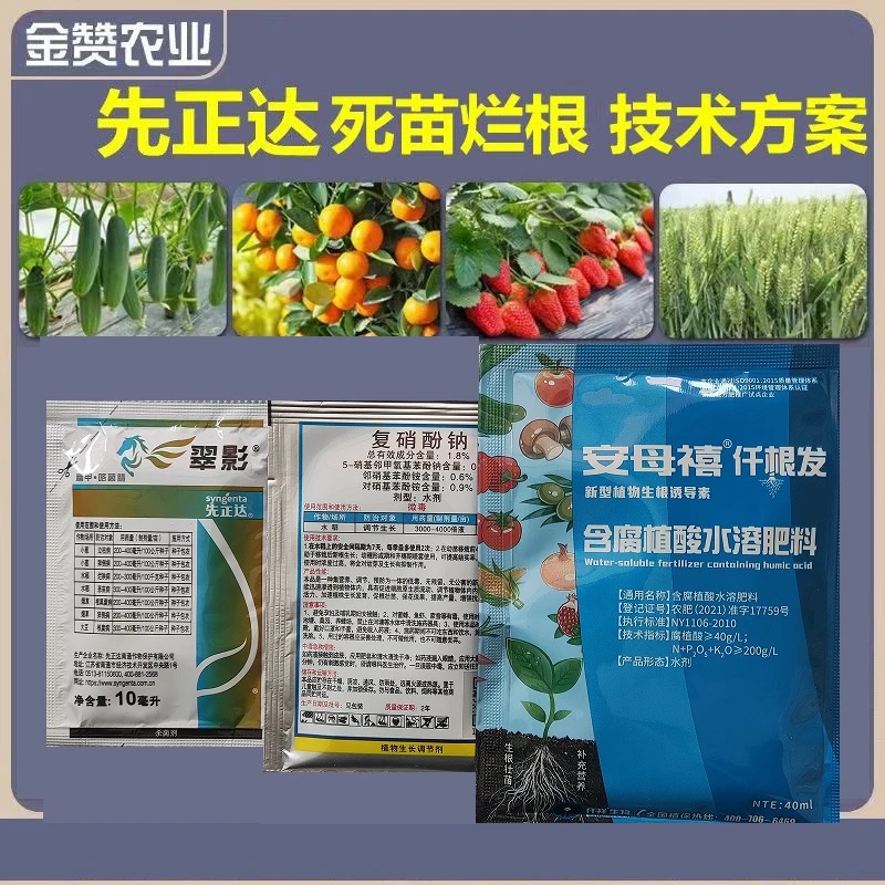 (倍茂)先正达死苗烂根技术方案精甲咯菌腈杀菌剂根腐病立枯病水剂