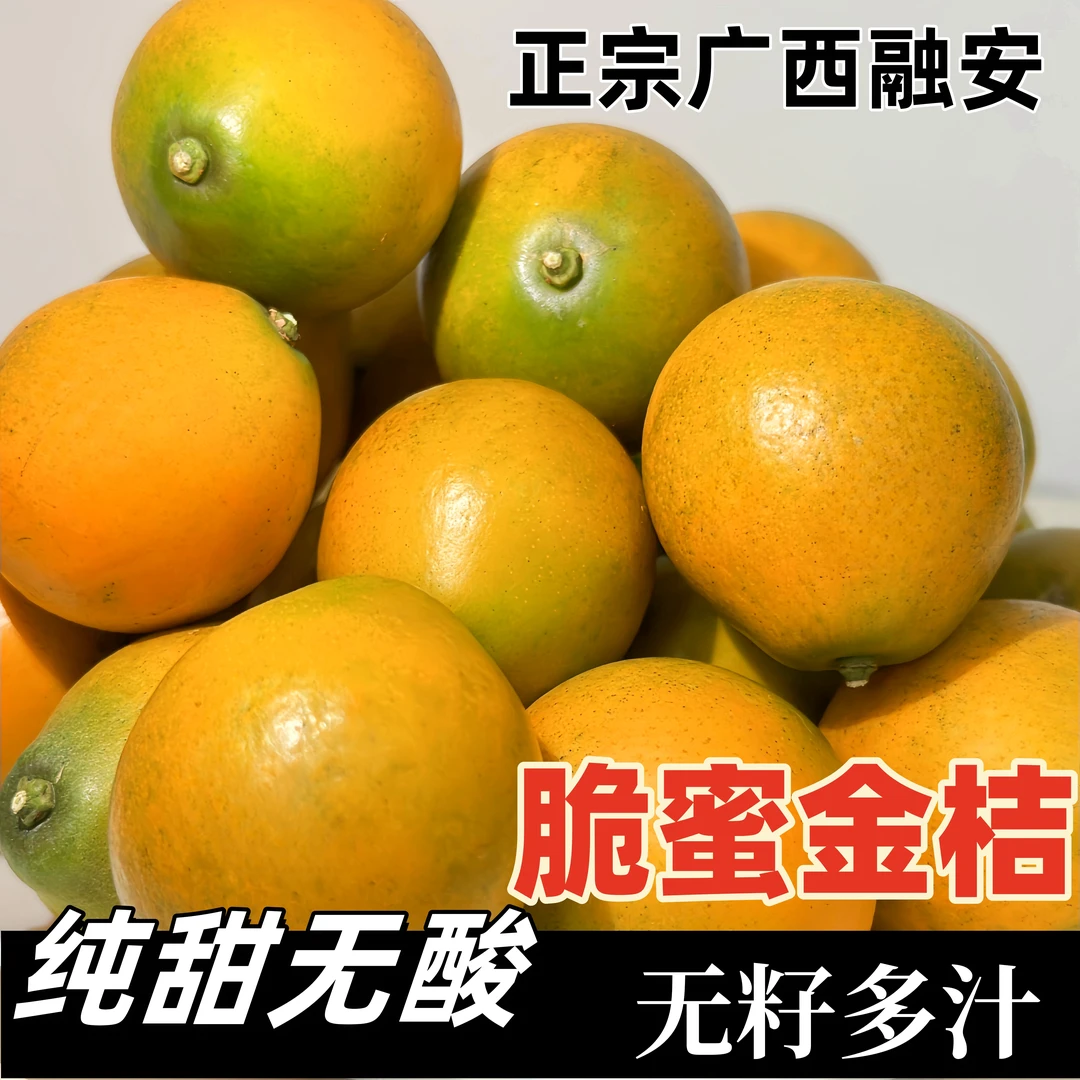 脆蜜金桔广西融安第三代金柑新鲜纯甜应季时令水果多汁无籽正宗