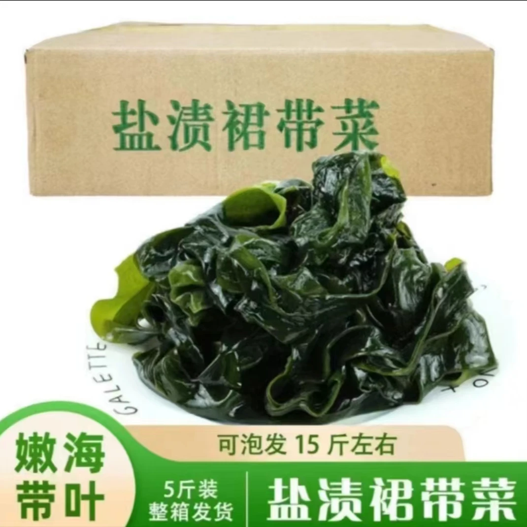 大连盐渍新鲜裙带菜叶【 凉拌菜煲汤涮火锅 包包子饺子】 5斤/含箱