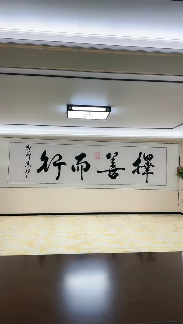 【闪购商品】绘画<择善而行>姜来巧