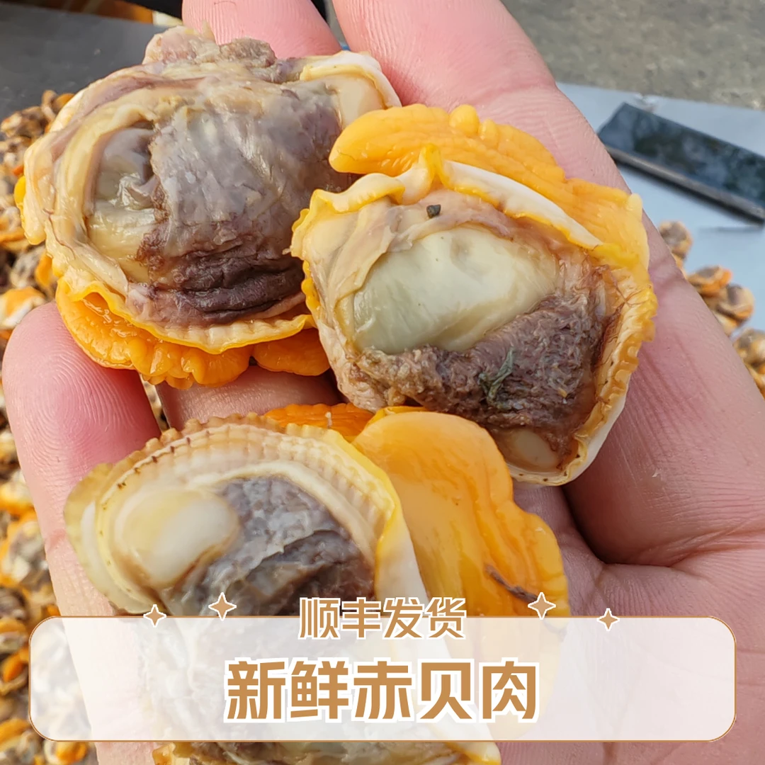 新鲜赤贝肉4斤  （加干冰速冻保鲜顺丰发货）