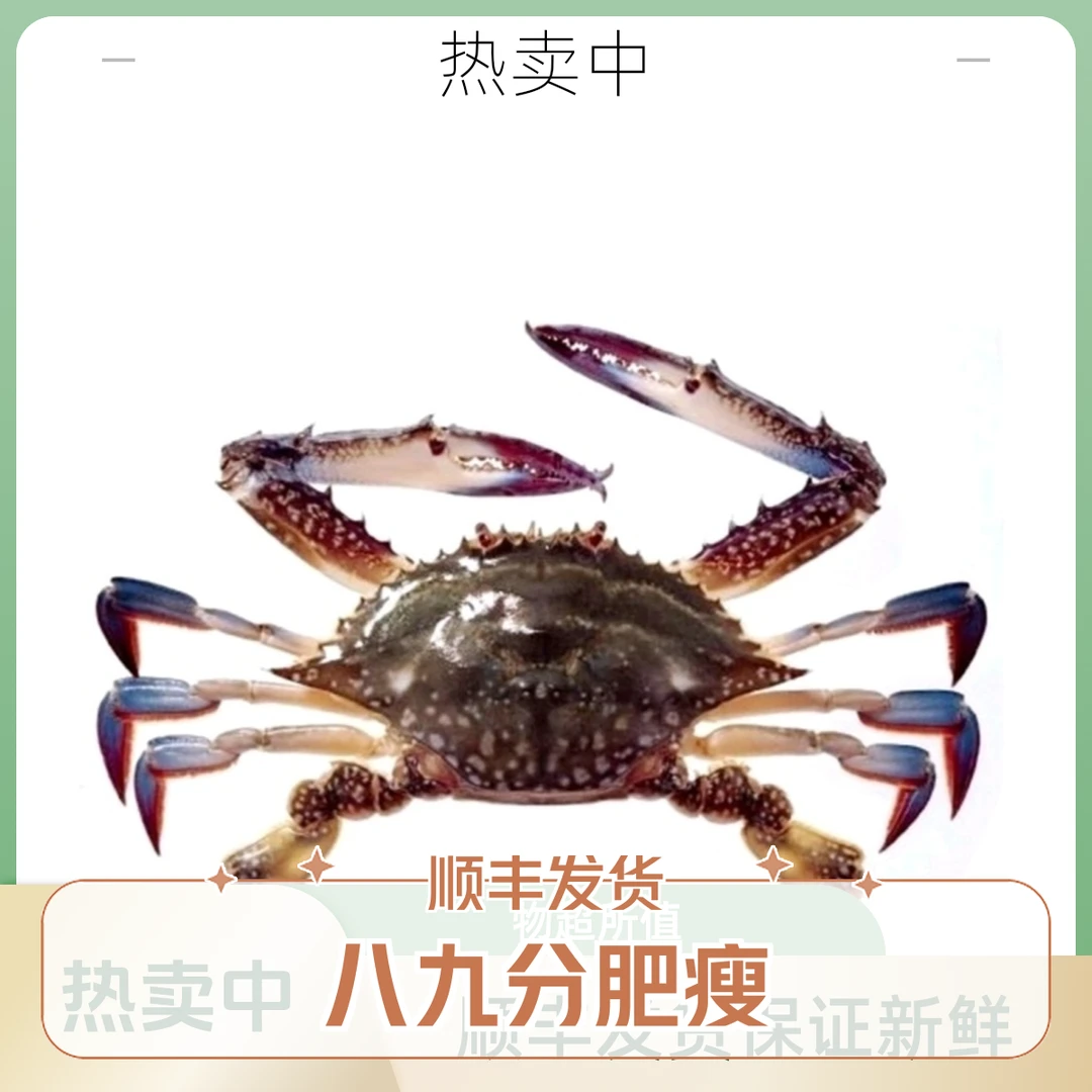 【保鲜不保活】公飞蟹各别有母 3斤（单只3两左右一斤3只左右)螃蟹