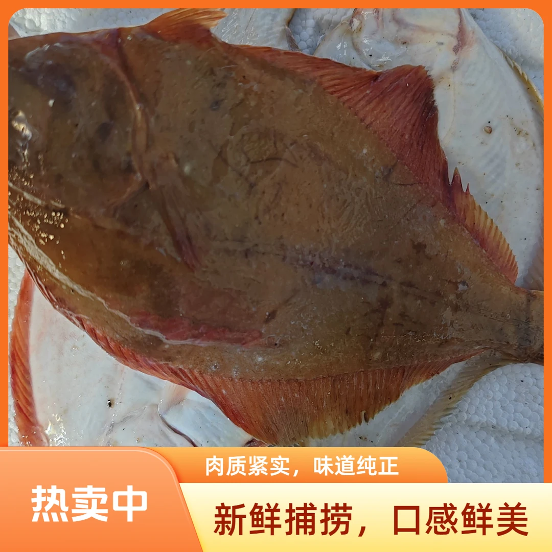 东港小石浆鱼4斤，冰鲜顺丰发货