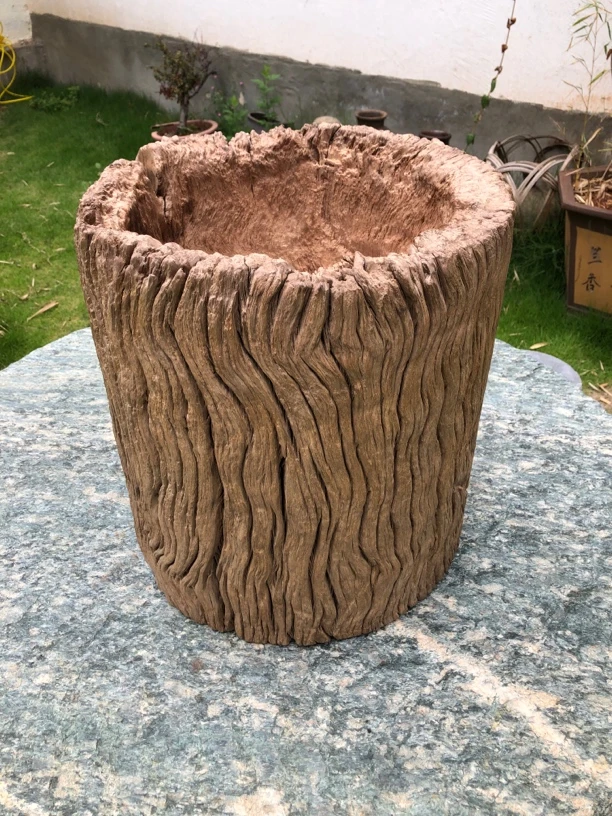 风化铁栎木老对窝