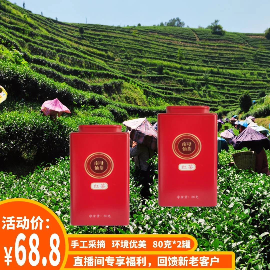 中国茶业百强县紫金南母仙茶红茶80g*2罐农产品醇香甘滑茶汤清澈
