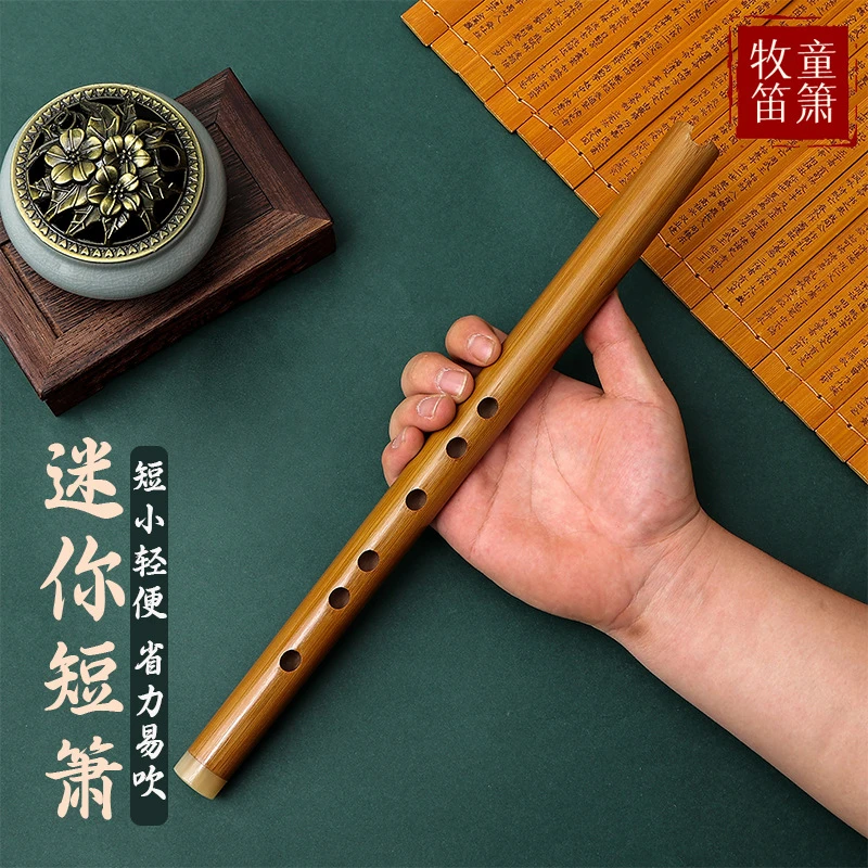 入门洞箫零基础便携苦竹高级短萧迷你小笛子古风六F调初学萧乐器