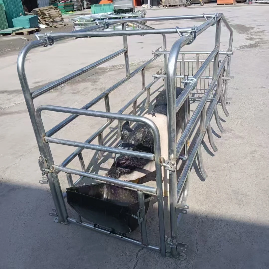 落地母猪产床简易母猪产床单体母猪产床